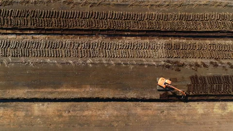 The excavator digs peat. In a peat bog. Video stock 165382299