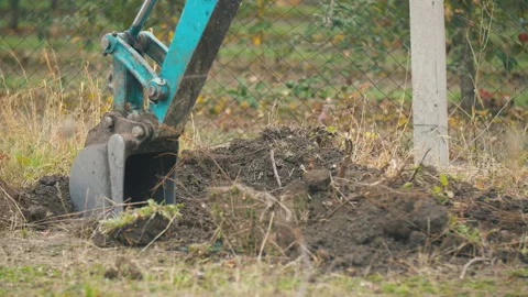 Excavator digs the roots of old trees Stock Footage 132033533