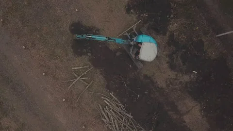 Excavator digs tree roots Stock-Footage 125712213