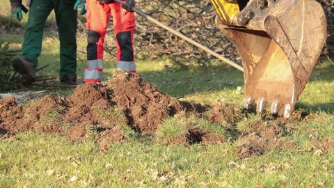 Excavator digs up a tree stump 動画素材 99593059