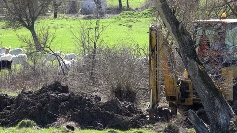 Excavator dredging mud Video stock 73878913