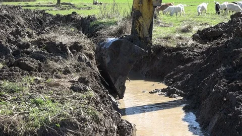 Excavator dredging mud Video stock 73879040