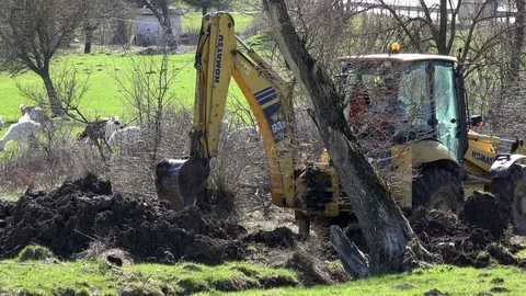 Excavator dredging mud Video stock 73879144