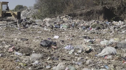Excavator driver pushing junk while street dog looking for food on landfill. Stock Footage 81660016