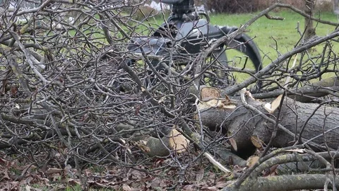 Excavator grabs Vidéo 100229603