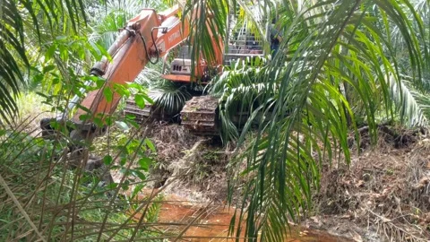 Excavator heavy equipment is digging the ground Stock Footage 316691397
