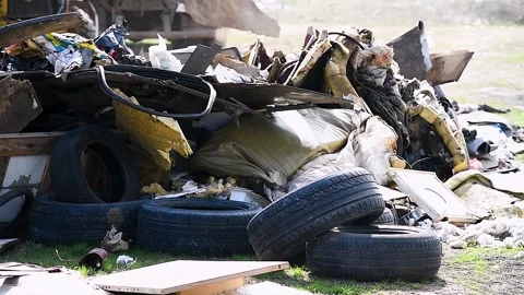 Excavator helps to clean up an illegal garbage dump Stock Footage 239984219