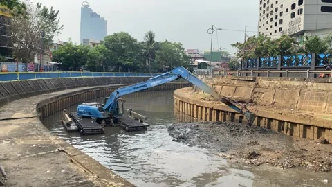 Excavator is lifting sediment Stock Footage 295028635