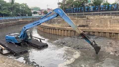 Excavator is lifting sediment Stock Footage 295028793