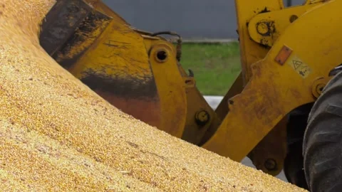 Excavator loader bucket loading grain Stock-Footage 279210820