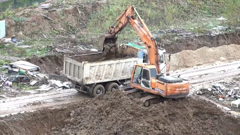 The excavator loads the machine with earth Stock Footage 142241136