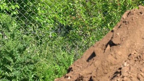 Excavator machine moving dirt Stock Footage 142959215