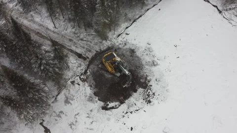 Excavator operating in the snow in forest Video stock 255853698