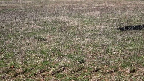 Excavator passing by Stock Footage 73451030