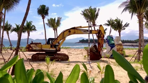 Excavator on the seashore between palm trees Video stock 261637262