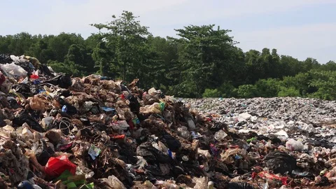 Excavator sorting garbage Stock Footage 128812433