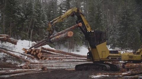 Excavator Sorting Lumber Stock Footage
