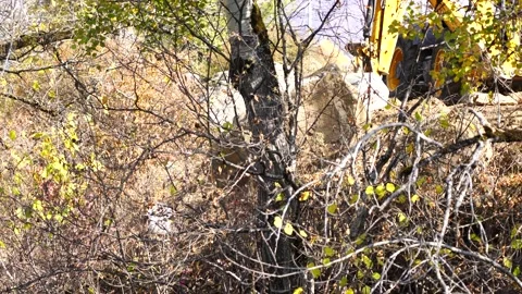 Excavator throws stones into the river Stock Footage 153070355