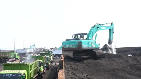 Excavator transfers palm shells from ship to truck Stock Footage 147107925