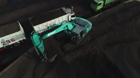 Excavator transfers palm shells from ship to truck Stock Footage 147108099