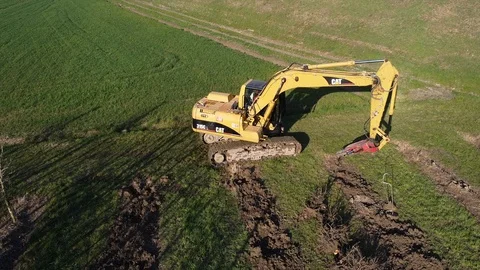 Excavator uprooting tree Video stock 126077344