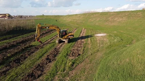 Excavator uprooting tree Video stock 126678277