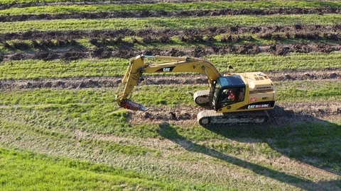 Excavator uprooting tree 動画素材 126679233