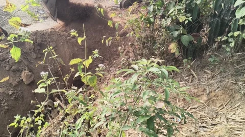 An excavator uses its bucket to dig a narrow trench for laying pipes. Stock Footage 324927795