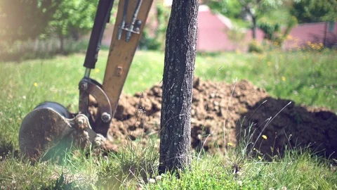 Excavator using the bucket to dig a hole to uproot an old tree. Stock-Footage 107112179