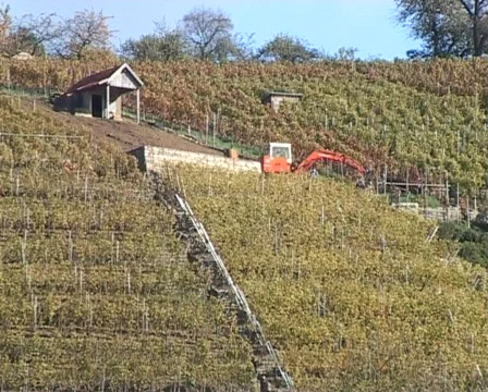 Excavator in a vineyard Stock Footage 62445