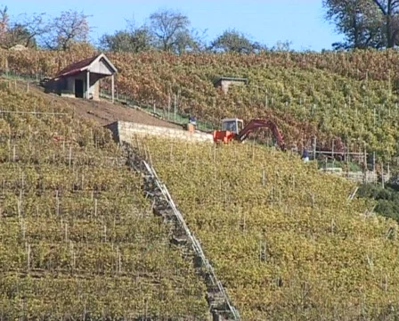 Excavator in a vineyard Stock Footage 62450