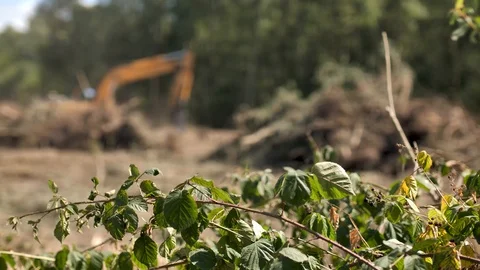 Excavator at work Stock Footage 92893514