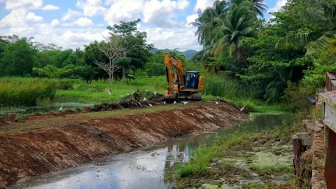 Excavator Working Cleaning Pond Maintenance Stock Footage 237822044