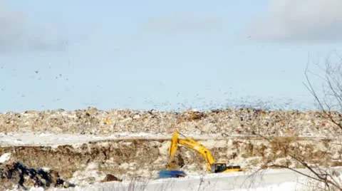 Excavator works on a garbage dump Stock-Footage 21965010