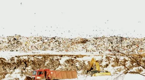 Excavator works on a garbage dump Stock-Footage 22200379
