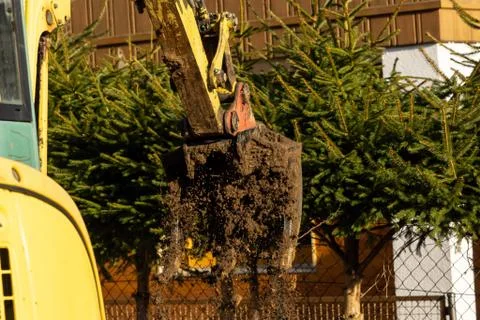 An excavator works in the garden, removing a root 스톡 사진
