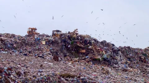Excavators clear the landfill with household solid waste. The concept of sorting Stock Footage 156696942
