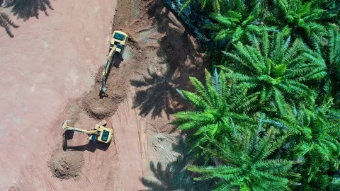 Excavators working beside forest Video stock 129863783