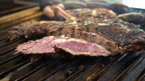 Excellent cut of meat burning on the grill Stock Footage 204420067