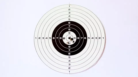 Excellent Hit on the White Target. Stock Footage 311120356
