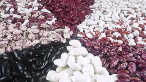 Excellent Range Of Legumes  White  Red  Black And Spotted Beans. Stock Footage 319762023