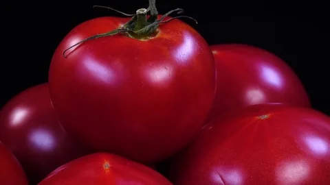 Excellent side view close up of fresh pink tomatoes, apple of love Stock Footage 77718893