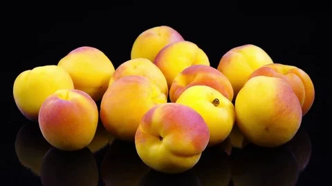 Excellent side view close up of fresh red and yellow apricots, Prunus armeniaca Stock Footage 78354442