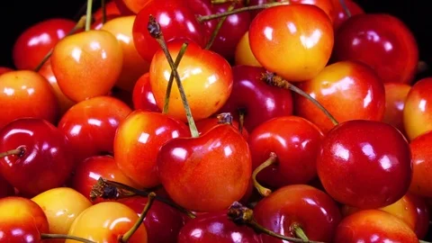 Excellent side view close up of red and yellow fresh sweet cherries with stems Stock Footage 77718838