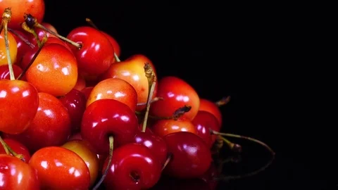Excellent side view close up of red and yellow fresh sweet cherries with stems Video stock 78353457