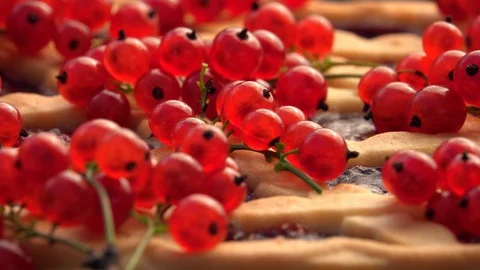 Excellent side-view of open pie with grid structure and red current berries 스톡 동영상 96886674
