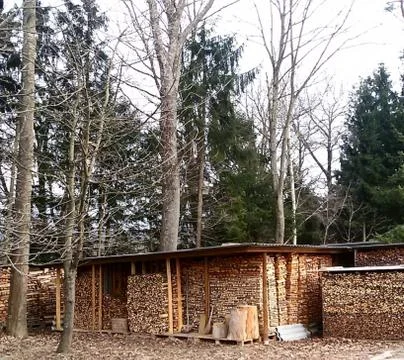 Excellent  size  long cutted  heating-wood Stock-Fotos