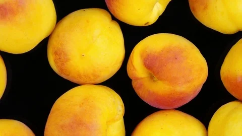 Excellent top view close up of fresh red and yellow apricots, Prunus armeniaca Stock Footage 78356006