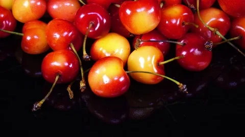 Excellent top view close up of red and yellow fresh sweet cherries with stems Video stock 78353223