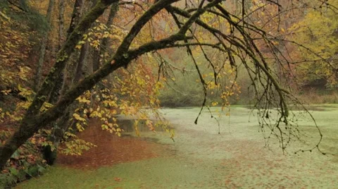Excellent views of the lake in the rain Stock Footage 43319299